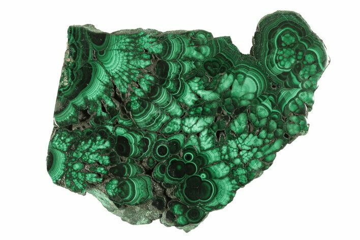 Polished Malachite Slab - DR Congo #264842